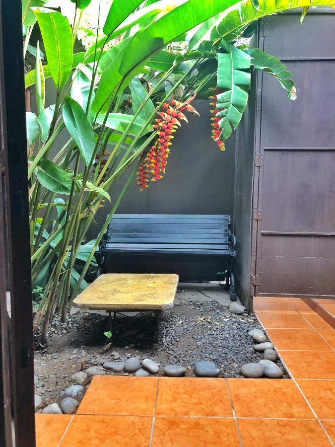 סאן סלבדור La Zona Hostel מראה חיצוני תמונה